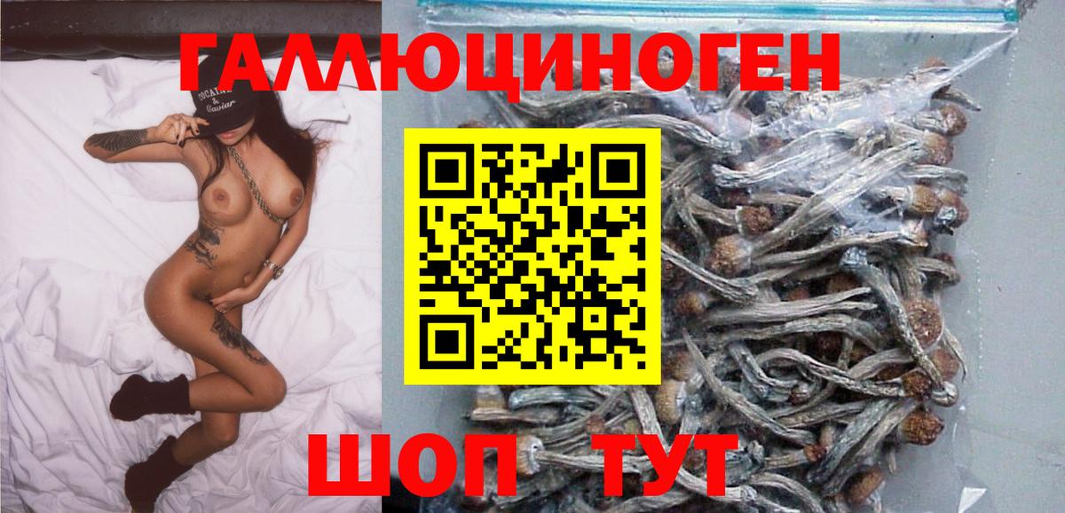 Псилоцибиновые грибы мицелий Юрга